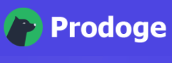 Prodoge Review: Most Trusted Payment Processing Platform With Cryptocurrency Wallet